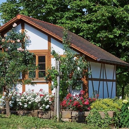 Winzerhof Woerner Apartamento Durbach Exterior foto